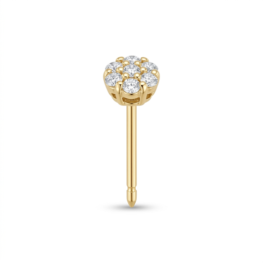 TOP ESTÁNDAR FLOR AZUCAR ORO 730 AMARILLO CIRCÓN BLANCO