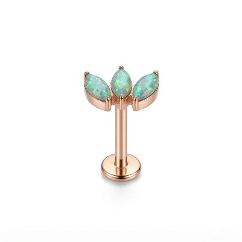 LABRET ZAG TITANIO ROSA CIRCÓN