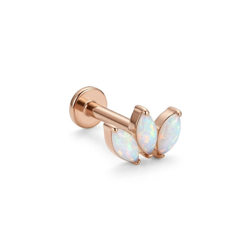LABRET ZAG TITANIO ROSA CIRCÓN